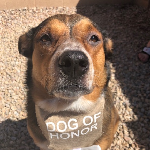 Meet your Posher, Hayden - Picture 1 of 1